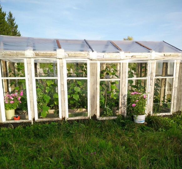 Дом 40 м² на участке 9 сот.