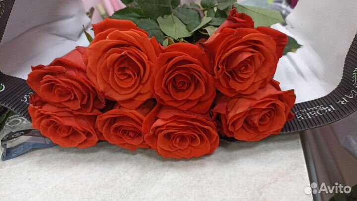 Шикарные алые розы вырощенные в Эквадоре