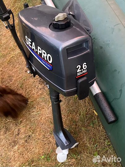 Лодка с мотором