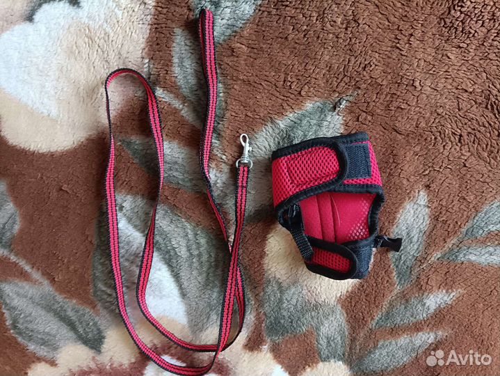 Поводок ошейник для хорька крысы или котёнка