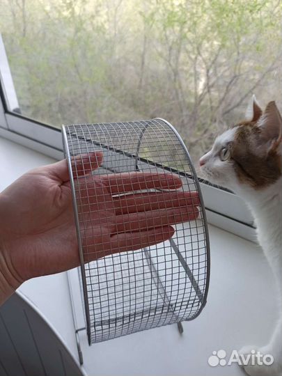 Колесо для грызунов, большое