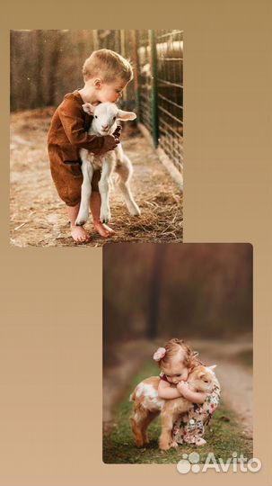 Наклейки для кукол