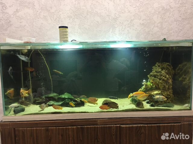 Аквариум на 500 литров