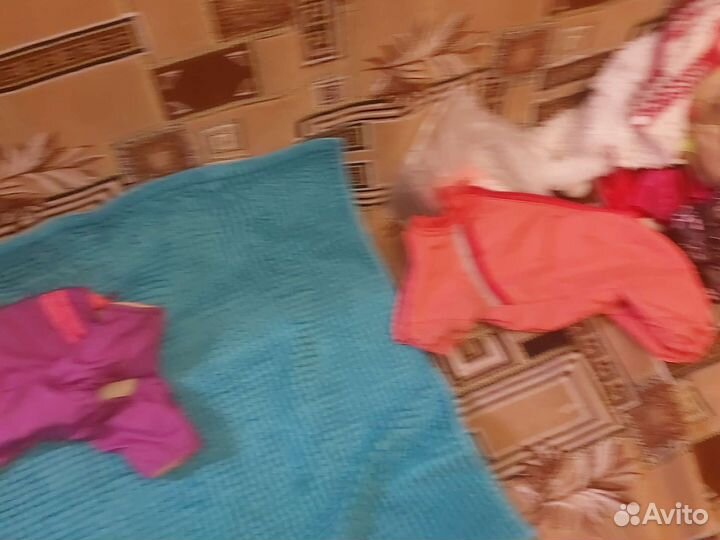 Комбезы для собаки