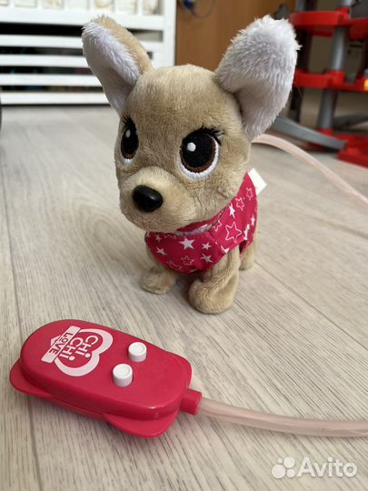 Чичилав собачка