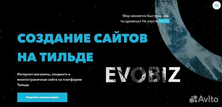 Сайты Тильда: лендинг / интернет-магазин под ключ