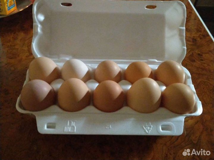 Яйцо куриное