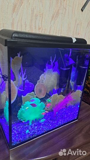 Аквариум 20л со всем содержимым