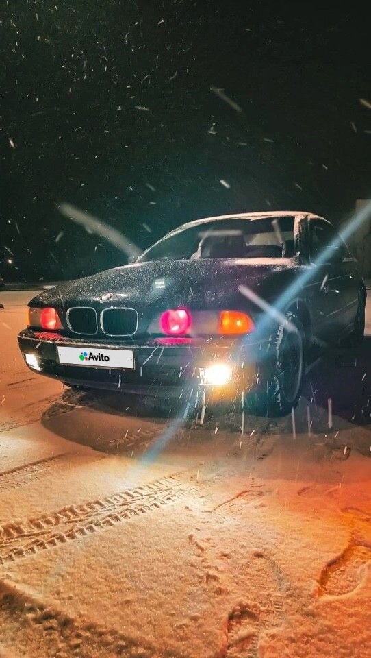 BMW 5 серия: фото владельца