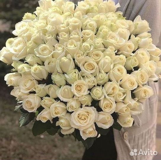 Розы Цветы Букеты 25 151 201 101 301 501 опт