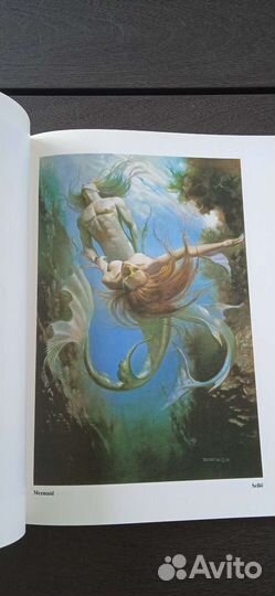 Книга-альбом Борис Валледжо