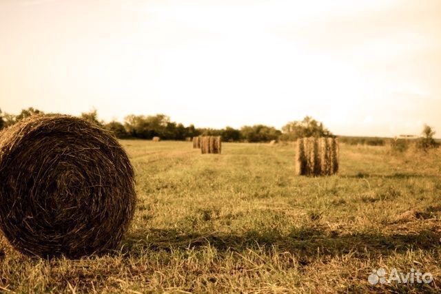 Сено луговое в рулонах