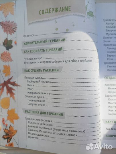 Книга гербарий для души изд. Бомбора