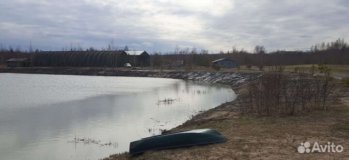 Аренда экскаватора JCB