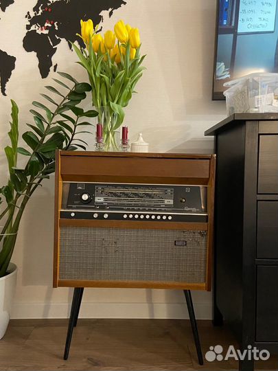 Радиола ригонда 102