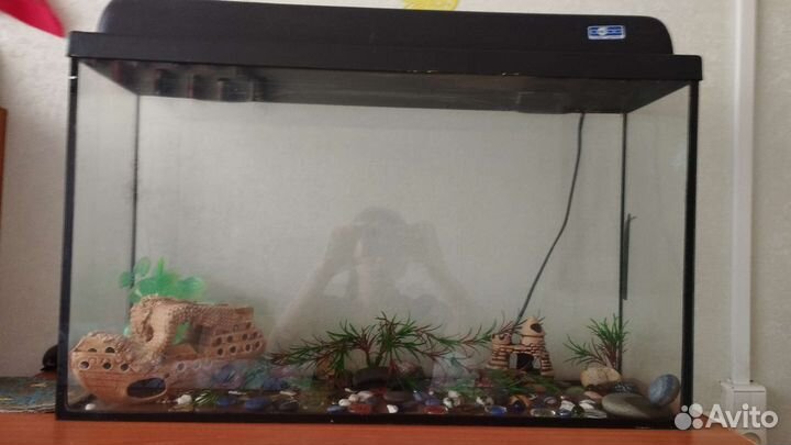 Аквариума