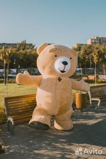 Мишка Тедди поздравление