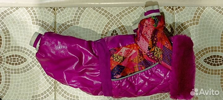 Зимняя одежда для мелких пород собак