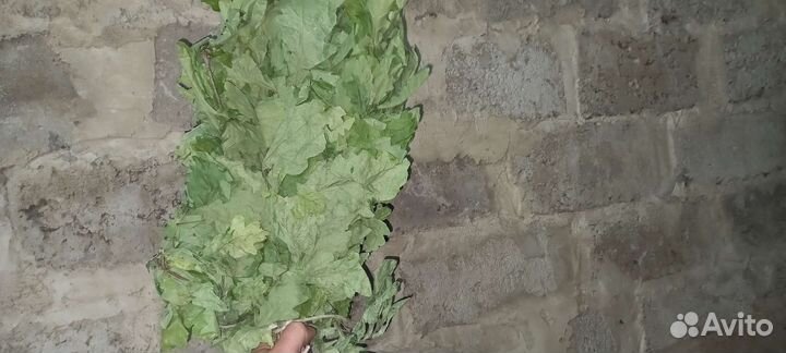 Магазин банных веников. Береза, дуб, осина, пихта