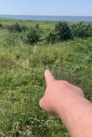 Участок 6 сот. (СНТ, ДНП)