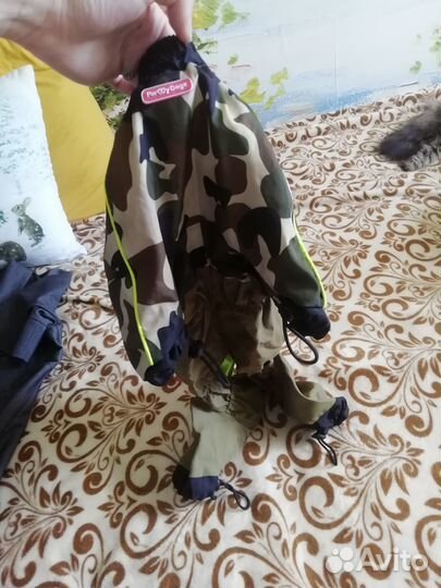 Дождевик для маленькой собаки