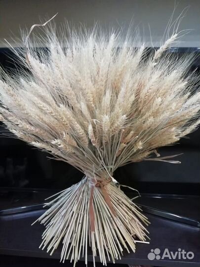 Букет из пшеницы