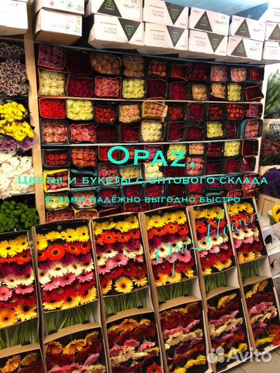 101роза 51роза 25роз 15роз Цветы Букеты Доставка