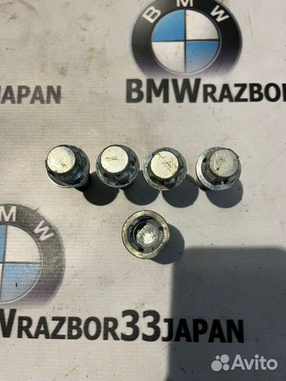 Болт секретка Bmw Е53 кросовер N62B44 2004