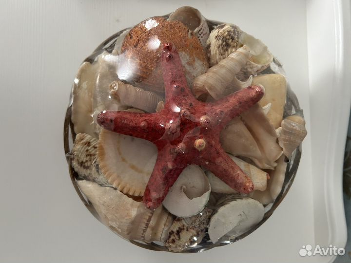 Набор ракушек в корзине Большой