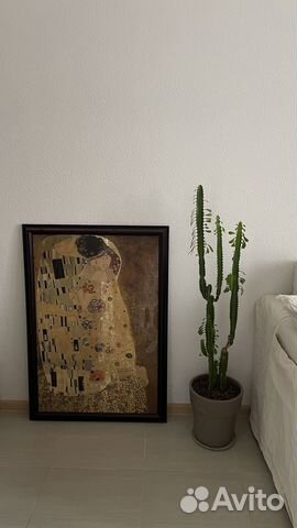 Молочай трехгранный