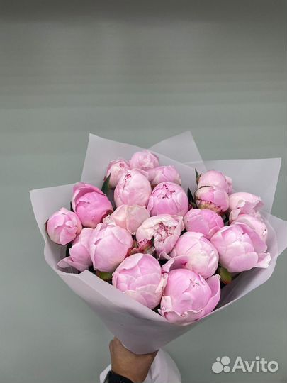 Пионы, цветы от производителя. Работаем 24 часа