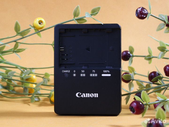 Зарядное устройство Canon LC-E6E
