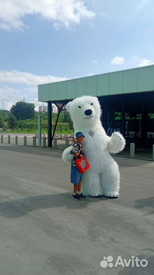 Поздравления от белого мишки