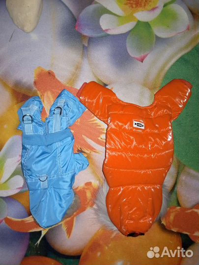 Вещи на маленьких собак