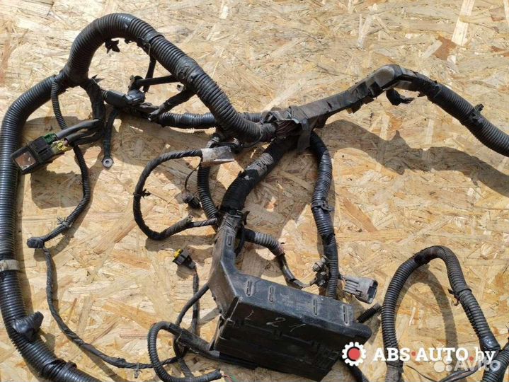 Проводка двигателя Nissan Primera P12 2004