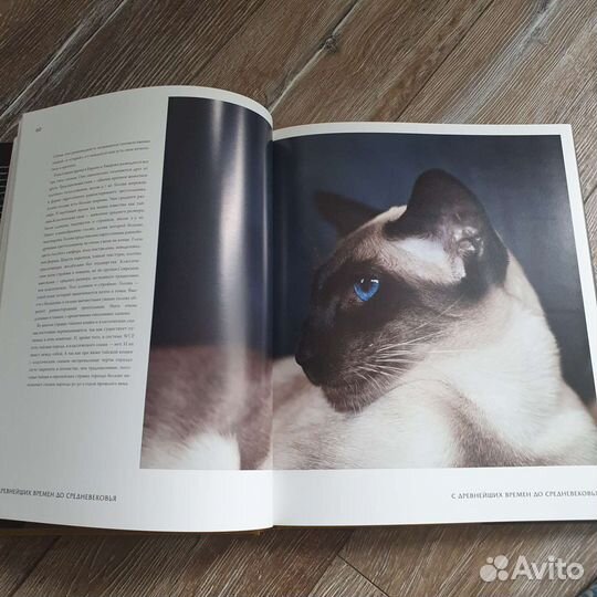 Кошки. Иллюстрированная энциклопедияТамсин Пикерел