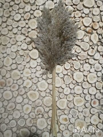 Пампасная трава сухоцвет для декора
