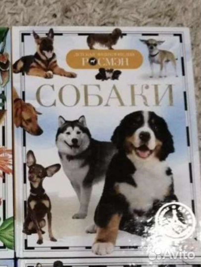 Энциклопедии