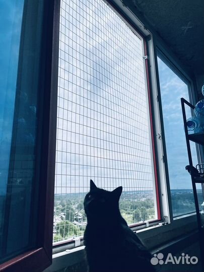 Сетка антикошка на окна