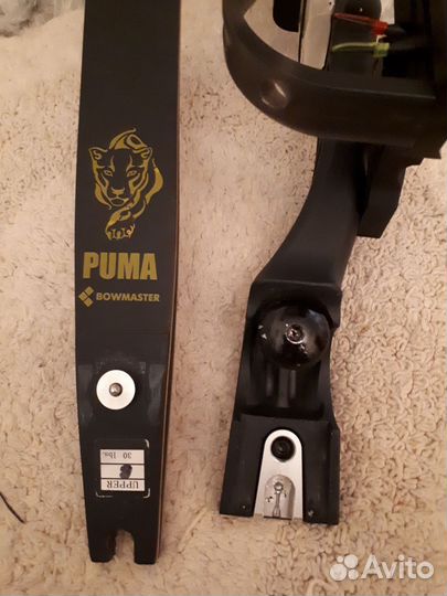 Спортивный лук