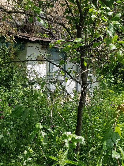 Участок 6 сот. (ИЖС)