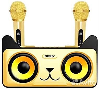 Колонка с 2 микрофонами котик sdrd SD305