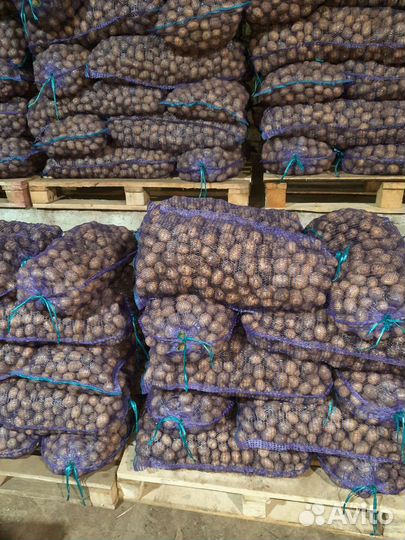 Картофель на корм животным