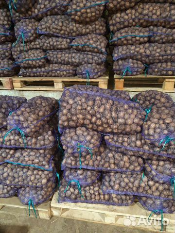 Картофель на корм животным