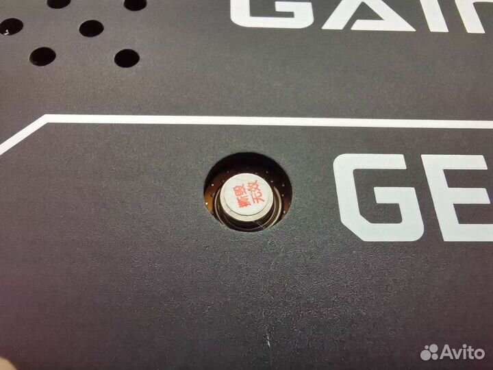 RTX 3080 Gainward (Palit) Chasing Wind