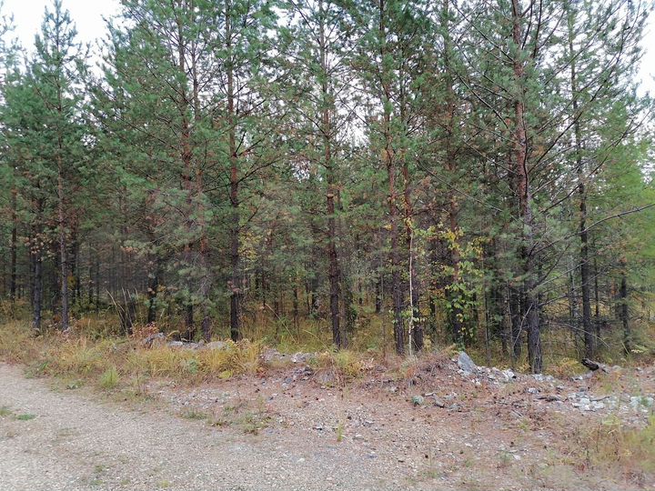 Участок 17 сот. (ИЖС)