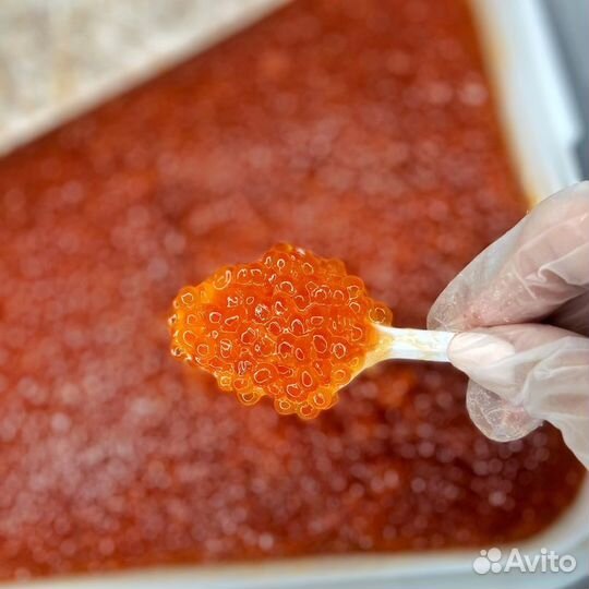 Свежая Красная икра 2023 год (Горбуша, Кета, Нерка