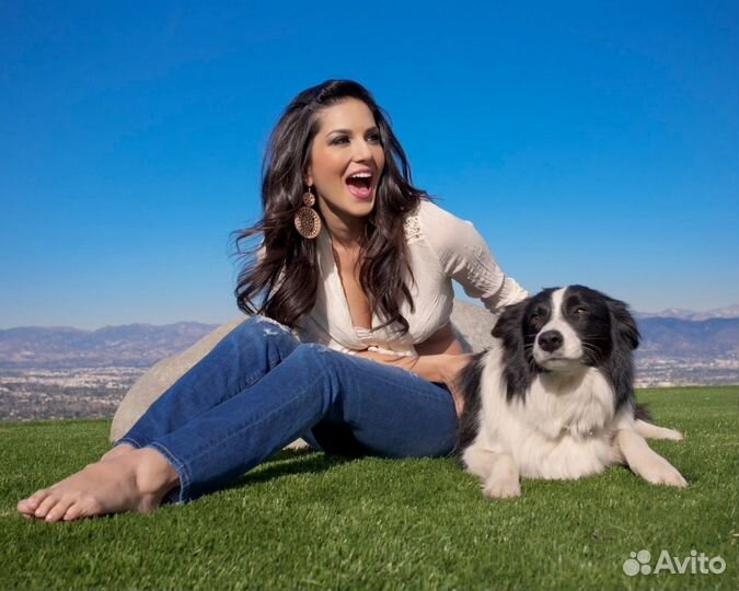 Гостиница для собак. Передержка. Дрессировка