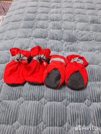 Обувь для маленьких собак