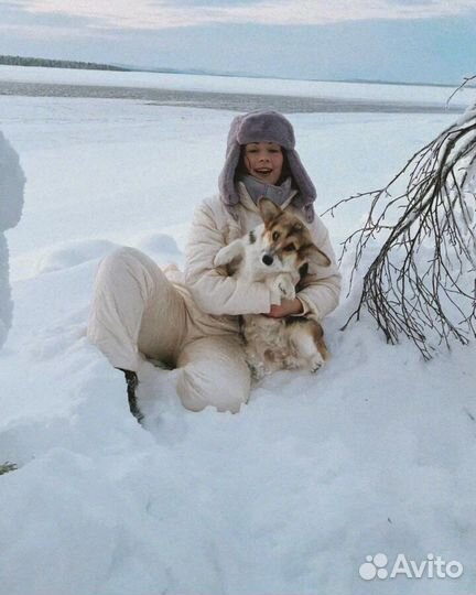 Выгул собак; няня для собак, кошек и черепах